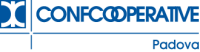 20200603100840_Logo_CCI_Padova_web_BLU2_462.png